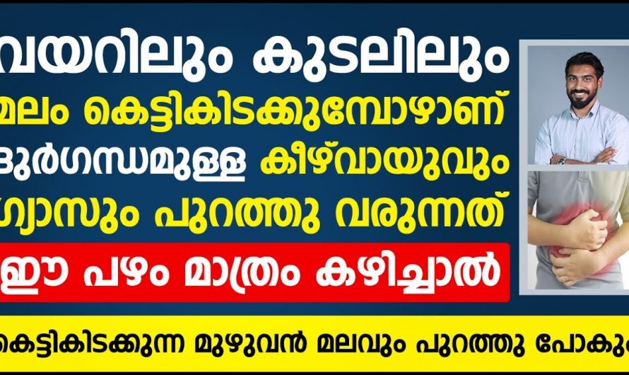 ദുർഗന്ധമുള്ള കീഴ്വായു ശല്യവും അതുപോലെതന്നെ ഗ്യാസും എളുപ്പത്തിൽ പരിഹരിക്കാം..