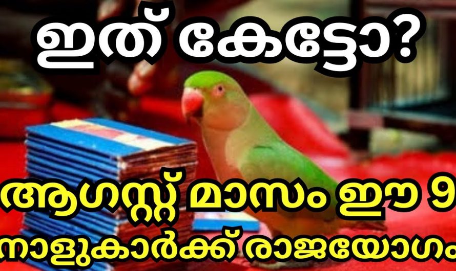 ഓഗസ്റ്റ് മാസം ഈ 9 നക്ഷത്രക്കാർക്ക് വളരെ സൗഭാഗ്യം