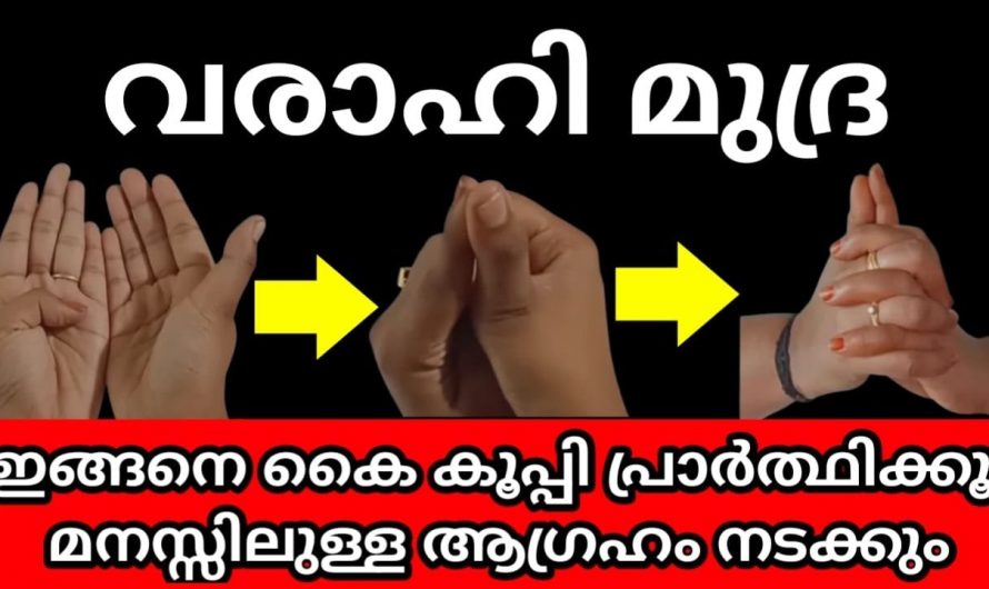 വരാഹിദേവിയോട് പ്രാർത്ഥിക്കുന്നതിലൂടെ നമ്മുടെ ജീവിതത്തിൽ സംഭവിക്കുന്നത്..