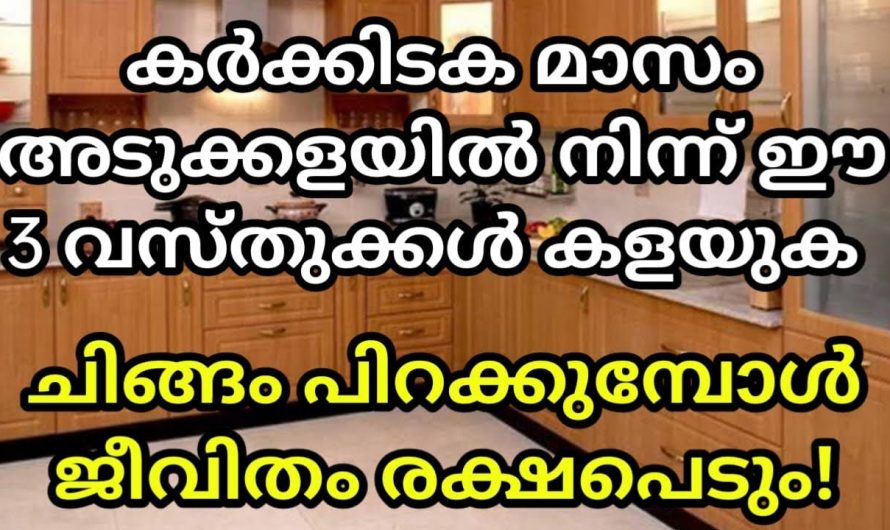 ചിങ്ങം ആകുമ്പോൾ ഈ  സാധനങ്ങൾ ഒരിക്കലും വീട്ടിൽ ഉണ്ടാകുവാൻ പാടില്ല