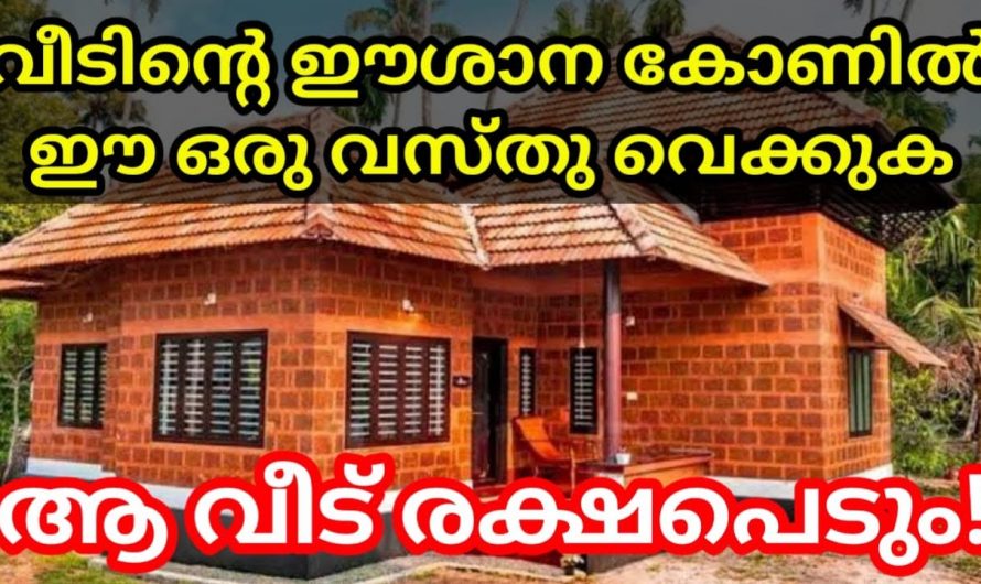 സമ്പത്തും ഐശ്വര്യവും  കുതിച്ചുയരാൻ വീടിന്റെ ഈ കോണ് പ്രത്യേകം ശ്രദ്ധിക്കുക..