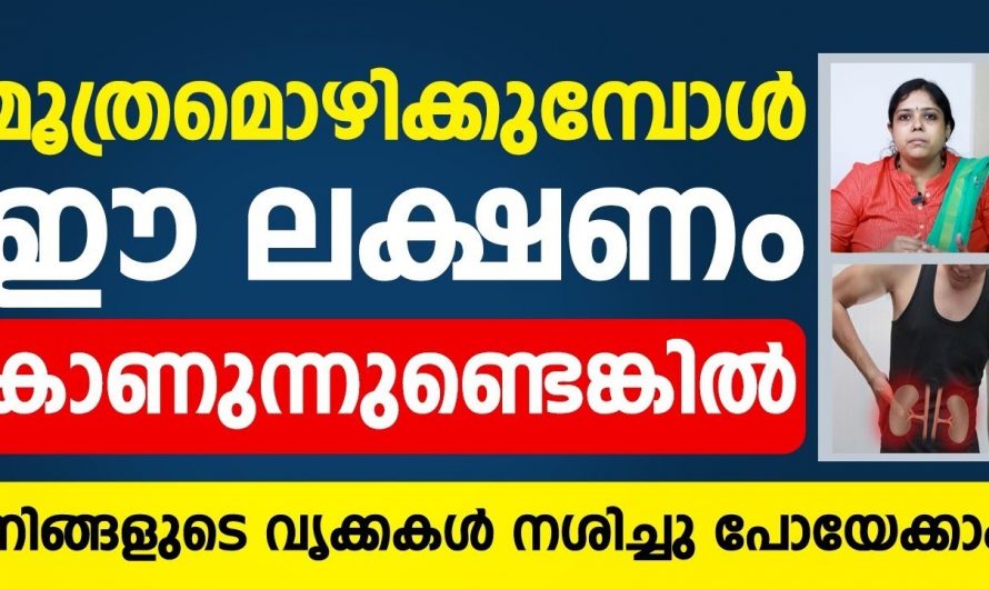 ഇത്തരം ലക്ഷണങ്ങൾ അവഗണിക്കരുത് ഇത് വളരെ വലിയ ആപത്തിലേക്ക് നയിക്കും..