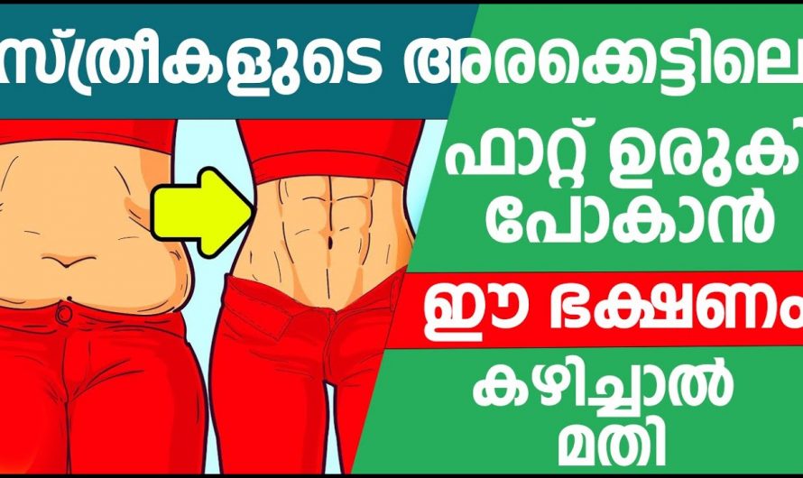 ഇത്തരം ഭക്ഷണങ്ങൾ കഴിക്കൂ അരക്കെട്ടിലെ ഫാറ്റ് ഉരുക്കി കളയുവാൻ സ്ത്രീകളെ സഹായിക്കും.