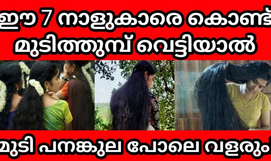 മുടി വെട്ടുമ്പോൾ ഈ കാര്യം ശ്രദ്ധിച്ചില്ലെങ്കിൽ മുടി വളർച്ച നശിക്കും..