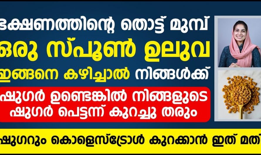 ഷുഗർ ലെവൽ വളരെ കൂടുതലാണോ? എങ്കിൽ ഒരു സ്പൂൺ ഉലുവ ഇങ്ങനെ ചെയ്യു