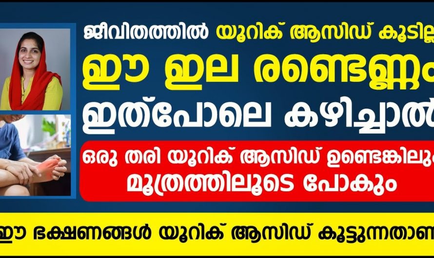 യൂറിക്കാസിഡ് ഒരു പരിധിവരെ നിയന്ത്രിക്കാൻ കിടിലൻ വഴി..