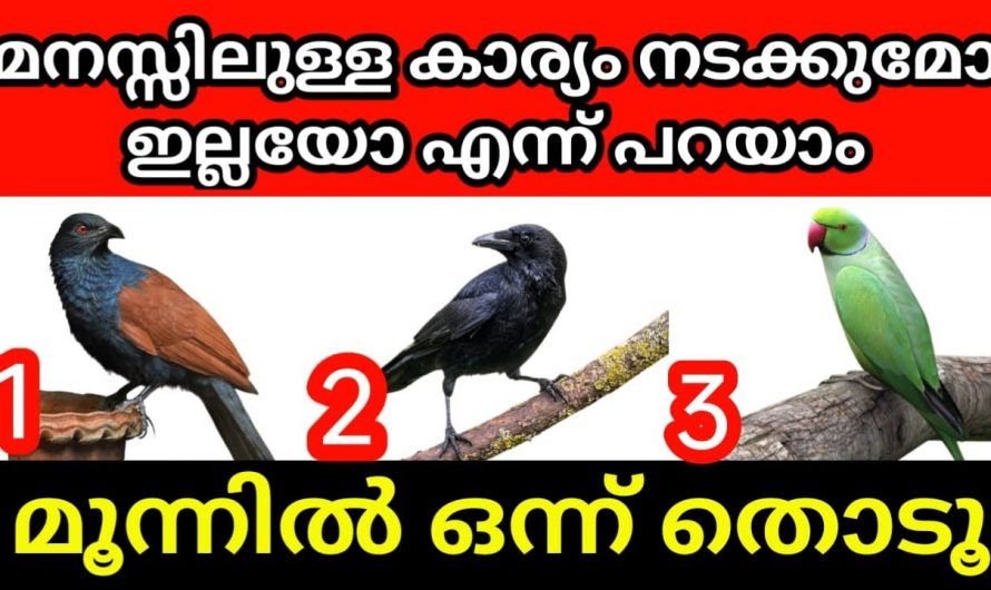 മനസ്സിലുള്ള ആഗ്രഹം നടക്കുമോ എന്നറിയാൻ കിടിലൻ മാർഗ്ഗം..