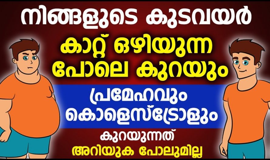 കുടവയറും  പ്രമേഹവും കൊളസ്ട്രോളും എളുപ്പത്തിൽ നീക്കം ചെയ്യാൻ ചെമ്പരത്തി പൂവ്….