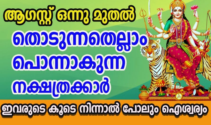 ഇവർക്ക് രാജയോഗം ആരംഭിച്ചു  നക്ഷത്രക്കാർ ആരൊക്കെ