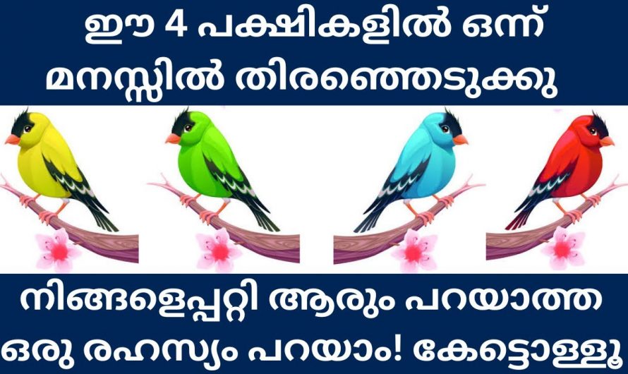 ഈ കിളികളിൽ ഒന്നും തെരഞ്ഞെടുക്കു  നിങ്ങളുടെ പൊതു സ്വഭാവം പറയാം