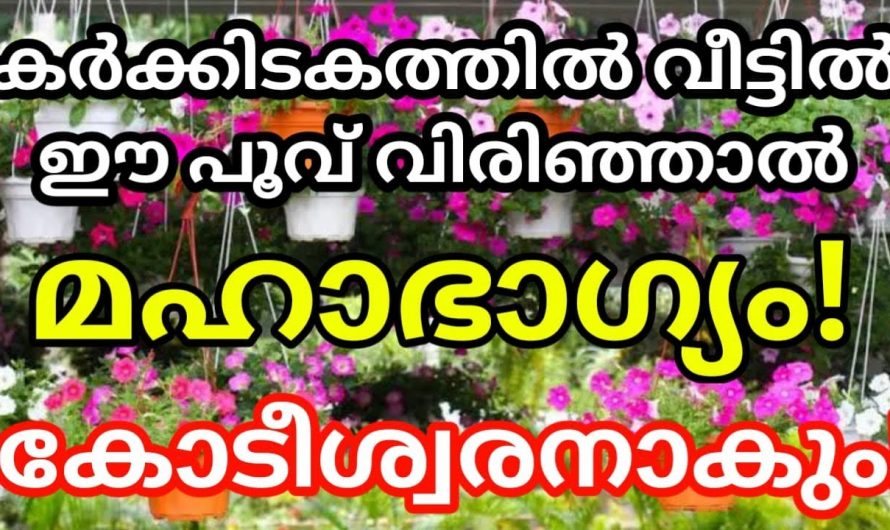 കർക്കിടക മാസത്തിൽ ഈ പൂക്കൾ നമ്മുടെ വീടുകളിൽ മുളച്ചു വന്നാൽ..