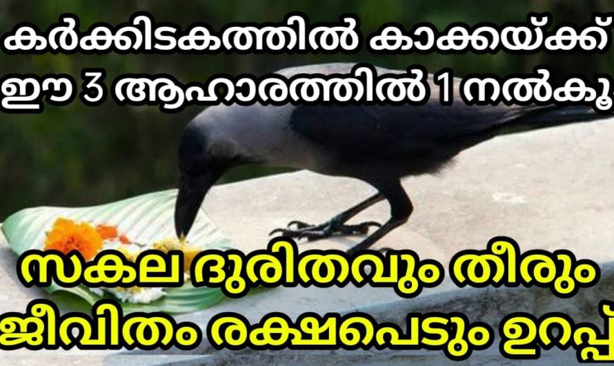 കർക്കിടകത്തിൽ ഇത്തരത്തിൽ കാക്കയ്ക്ക് ആഹാരം നൽകിയാൽ ലഭിക്കുന്ന ഗുണങ്ങൾ.