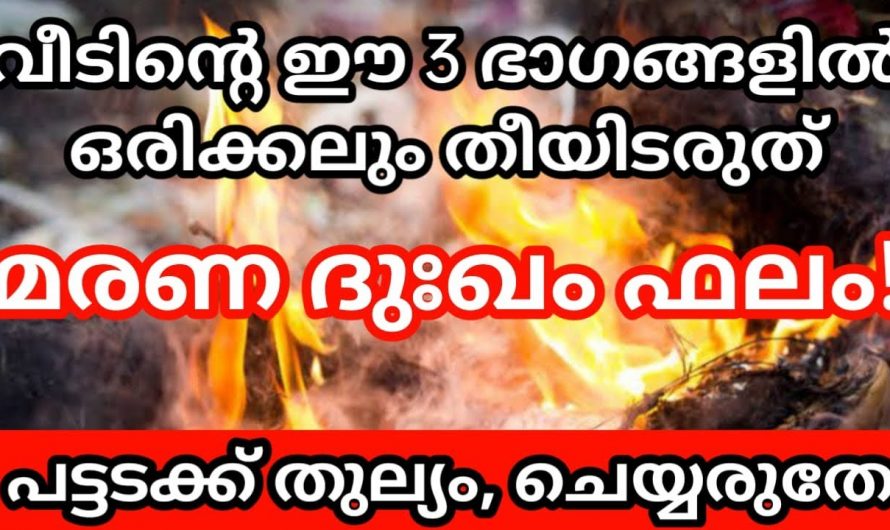 വീടിന്റെ ഇത്തരം ഭാഗങ്ങളിൽ ഒരിക്കലും തീ ഇടുന്നത് ചപ്പുചവറുകൾ ഇടാൻ പാടില്ല.