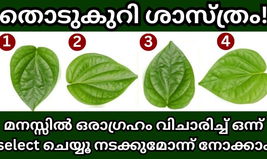 നിങ്ങളുടെ മനസ്സിലെ ആഗ്രഹം ആക്കുമോ എന്നറിയുവാനായി ഈ ചിത്രത്തിലുള്ള ഒരു വെറ്റില തിരഞ്ഞെടുക്കാമോ