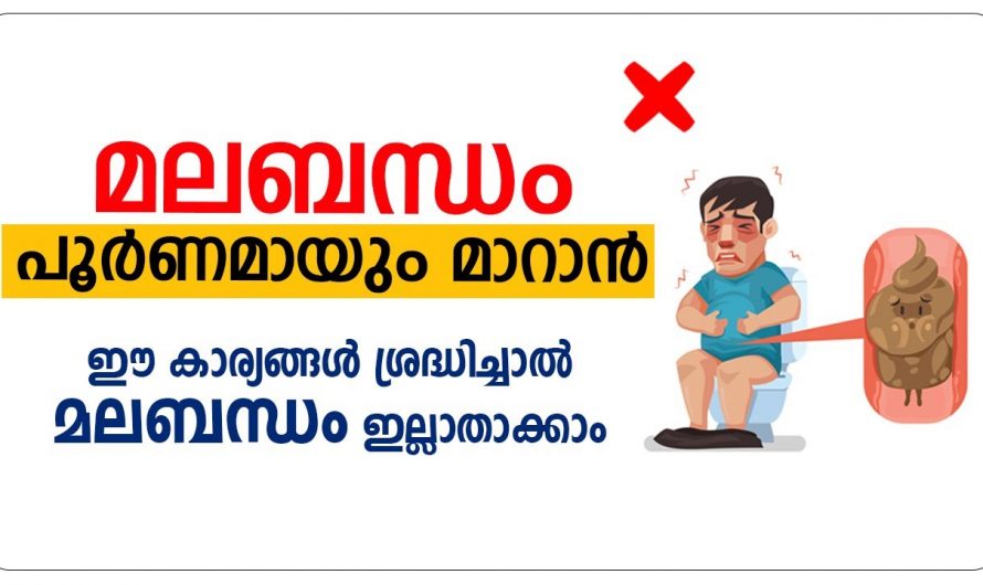 മലബന്ധം വരാതിരിക്കാൻ ഇത്തരം കാര്യങ്ങൾ നിർബന്ധമായും ശ്രദ്ധിക്കുക