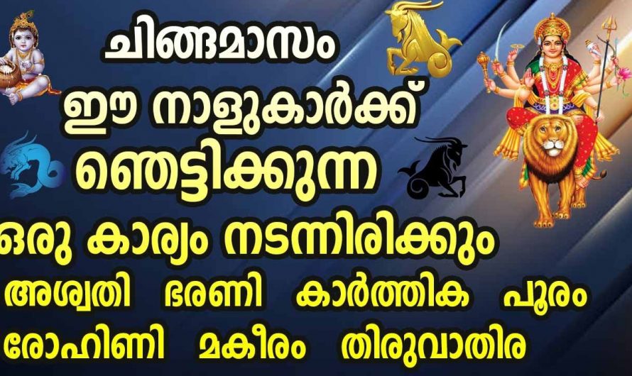 ചിങ്ങമാസം ഈ നക്ഷത്രക്കാർക്ക് വളരെ നല്ല സമയം…