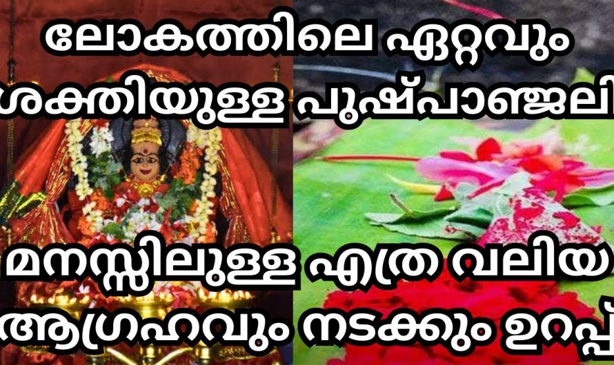 ഈ വഴിപാട് ചെയ്ത പ്രാർത്ഥിച്ചാൽ നിങ്ങളുടെ ജീവിതത്തിലെ ഏത് ആഗ്രഹം സാധ്യമാകും..