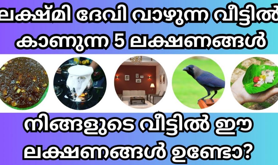 മഹാലക്ഷ്മിയുള്ള വീടുകളിൽ ഇത്തരം ലക്ഷണങ്ങൾ ഉണ്ടാകും.