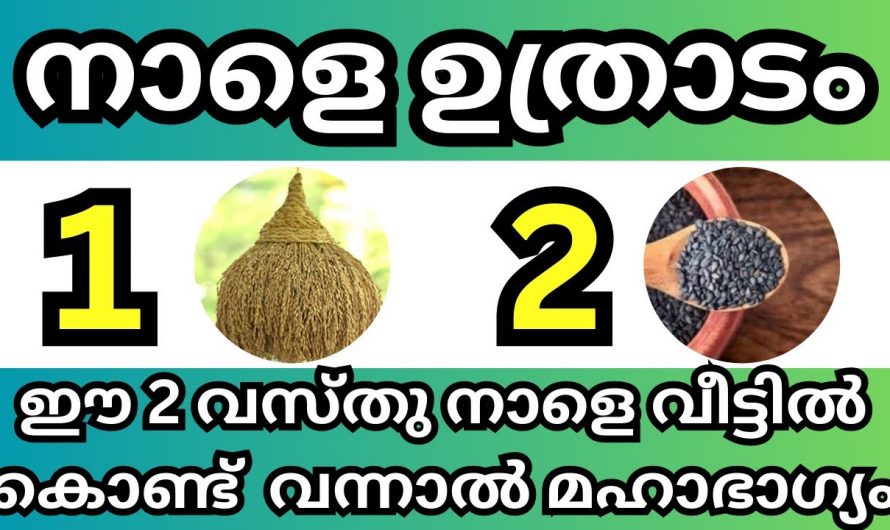 ഈ രണ്ട് വസ്തുക്കൾ  തിരുവോണനാളിൽ വീട്ടിൽ കൊണ്ടുവന്നാൽ മഹാഭാഗ്യം..