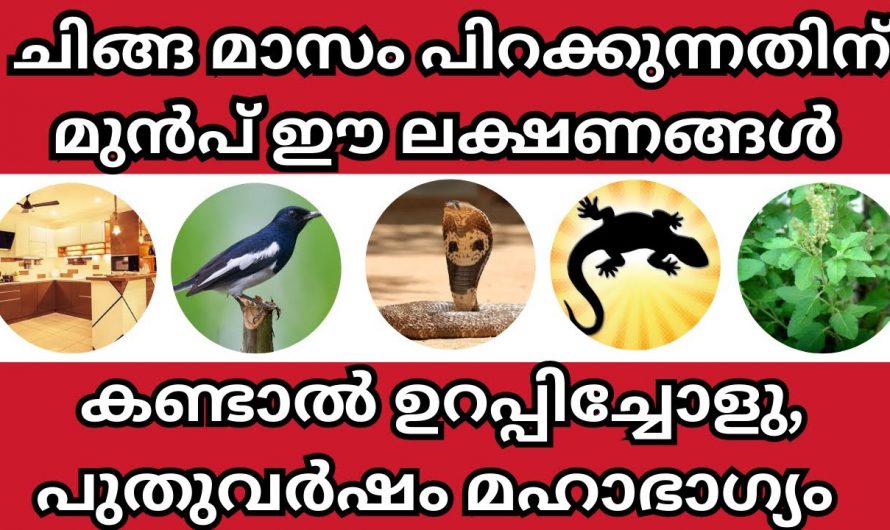 ചിങ്ങം വർഷം തുടങ്ങുന്നതിനു  മുൻപ് ഇത്തരം ലക്ഷണങ്ങൾ നിങ്ങളുടെ വീട്ടിൽ കാണുകയാണെങ്കിൽ ജീവിതത്തിൽ ഇനി ഐശ്വര്യത്തിന്റെ കാലഘട്ടം.