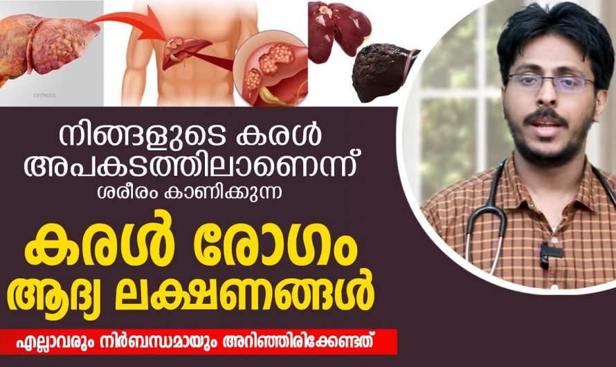 നമ്മുടെ ശരീരത്തിലുള്ള കരളിനെ ബാധിക്കുന്ന രോഗങ്ങൾ എന്തൊക്കെയാണ്  അതിന്റെ ലക്ഷണങ്ങൾ എന്തൊക്കെയാണ്