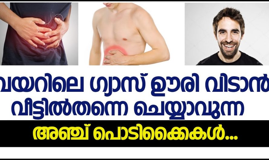 ഗ്യാസും ഗ്യാസ് മുതലുള്ള ആരോഗ്യപ്രശ്നങ്ങൾക്കും വളരെ വേഗത്തിൽ പരിഹാരം…