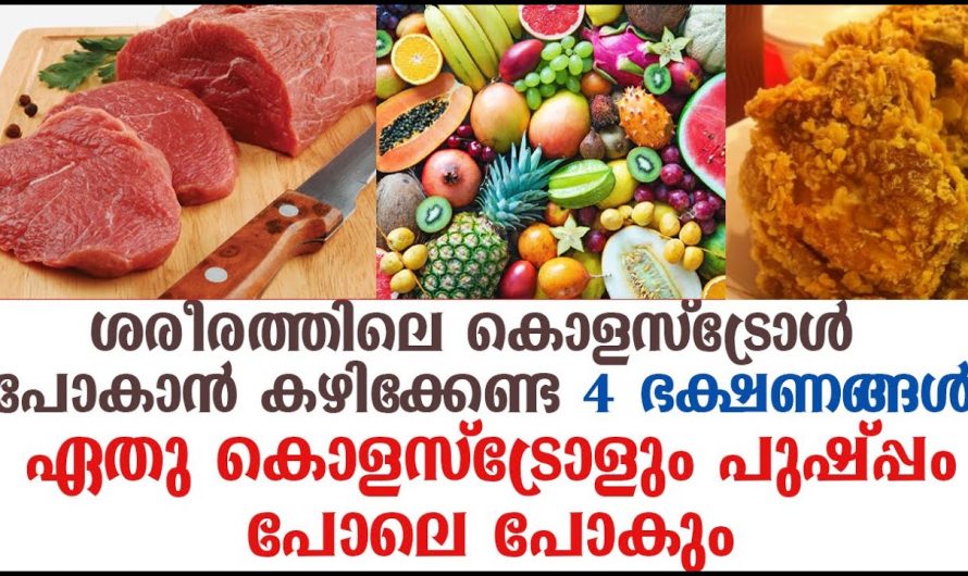 ശരീരത്തിലെ കൊളസ്ട്രോളിന് നിയന്ത്രിക്കുന്നതിനുള്ള എളുപ്പ വഴികൾ…