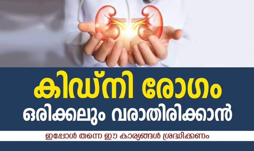 വൃക്കരോഗം വരാതിരിക്കുവാൻ ഈ കാര്യങ്ങൾ ശ്രദ്ധിക്കണം