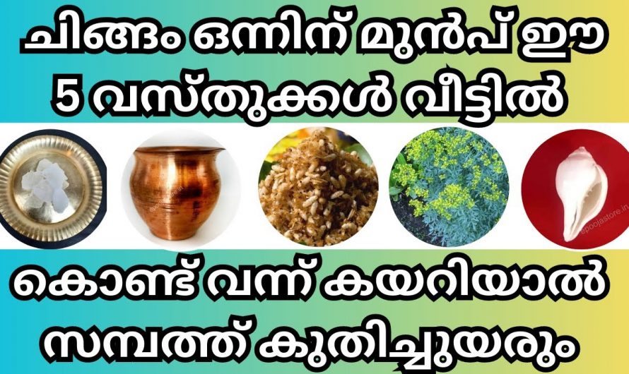 ചിങ്ങമാസത്തിൽ ഈ അഞ്ചു വസ്തുക്കൾ വീട്ടിൽ കൊണ്ടുവന്നാൽ വളരെയധികം ഐശ്വര്യം.