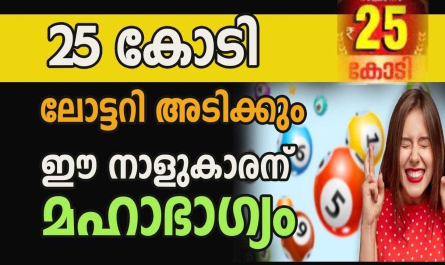 നക്ഷത്രക്കാർക്ക് ലോട്ടറി ഭാഗ്യം ലഭ്യമാകുന്നു…