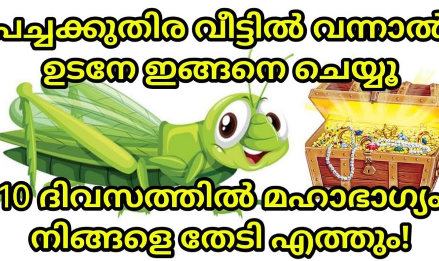 വീടുകളിൽ പച്ചക്കുതിര വന്നാൽ സംഭവിക്കുന്നത്…