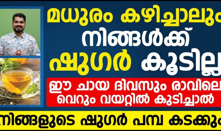 ജീവിതശൈലി രോഗങ്ങളെ പ്രതിരോധിക്കാൻ ഇതാ കിടിലൻ മാർഗ്ഗം.