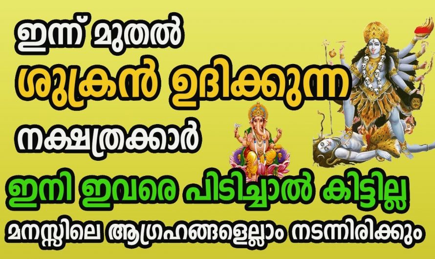 ഈ നക്ഷത്രക്കാരുടെ ജീവിതത്തിൽ ശുക്രൻ ഉദിക്കുന്നു ഇന്നുമുതൽ