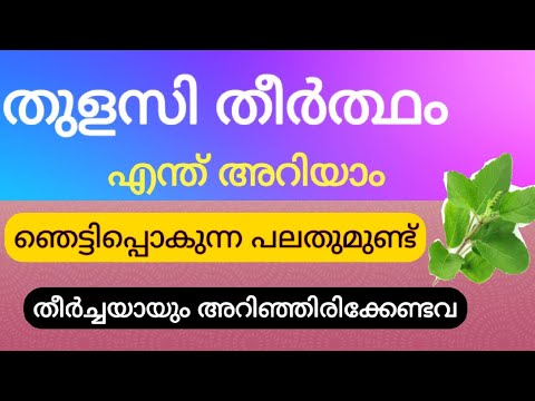 ഇത്തരം ഗുണദോഷങ്ങൾ അറിഞ്ഞുവേണം തുളസി ഇല ഉപയോഗിക്കുവാൻ