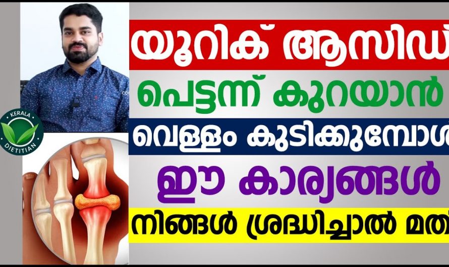 യൂറിക്കാസിഡ് ഇത്തരം കാര്യങ്ങൾ നിർബന്ധമായി ശ്രദ്ധിക്കുക.