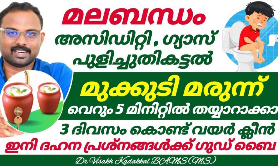 ദഹന പ്രശ്നങ്ങൾ പരിഹരിച്ച് ആരോഗ്യത്തെ സംരക്ഷിക്കുക