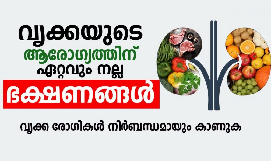 ഇത്തരം ഭക്ഷണങ്ങൾ വൃക്കയുടെ ആരോഗ്യത്തിന് വളരെ ഗുണം ചെയ്യും