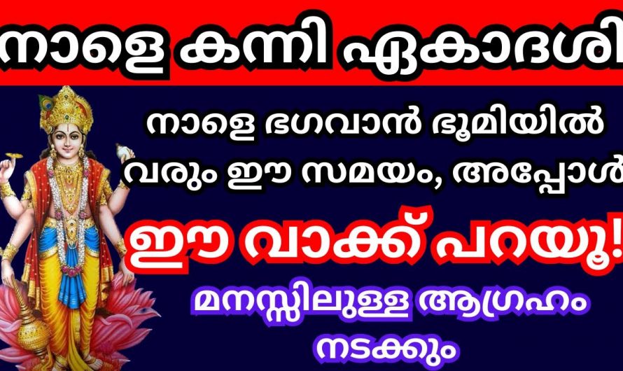 കന്നിമാസത്തിലെ ഏകദേശി ദിവസം ഇങ്ങനെ പ്രാർത്ഥിച്ചാൽ ലഭ്യമാകുന്നത്..