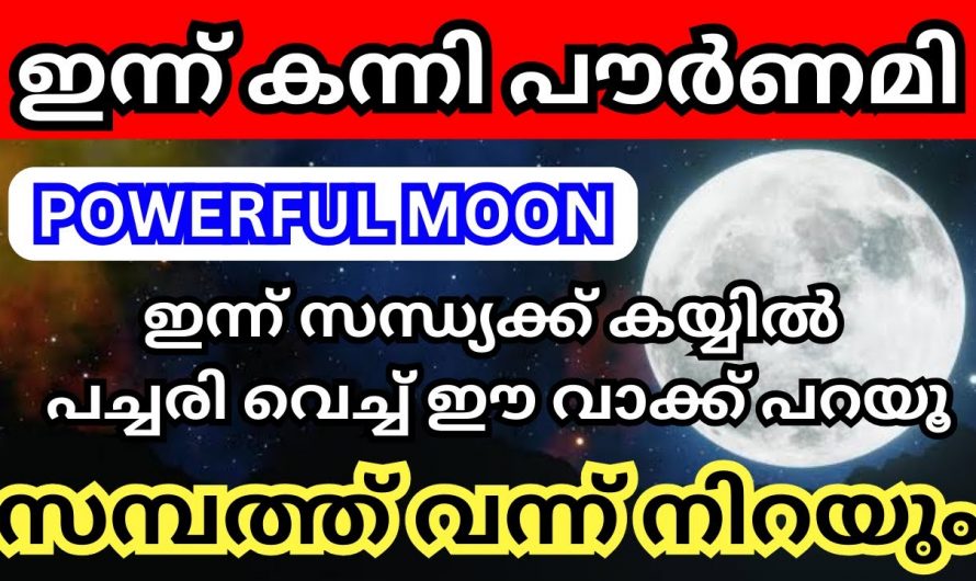 കന്നിമാസത്തിലെയും പൗർണമി വെള്ളിയാഴ്ച ദിവസം  ദിവസം വന്നാൽ ലഭിക്കുന്ന അനുഗ്രഹങ്ങൾ..