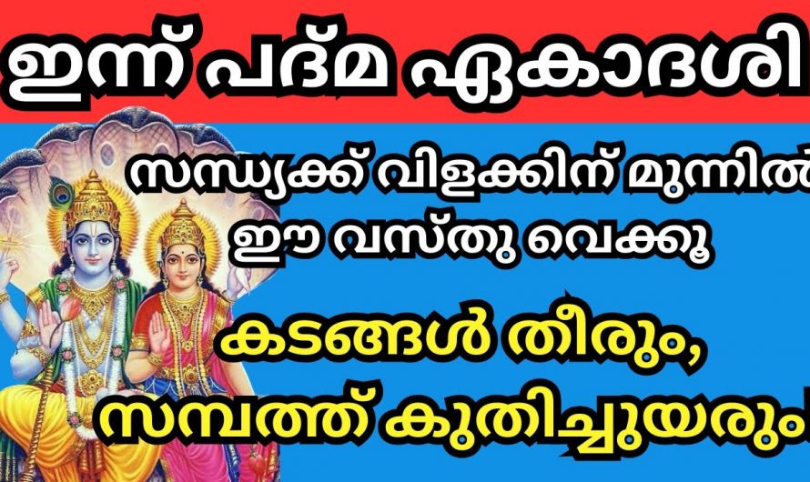 പത്മ ഏകദേശി ദിവസം  പ്രാർത്ഥിച്ചാൽ ലഭിക്കുന്ന ഗുണങ്ങൾ.