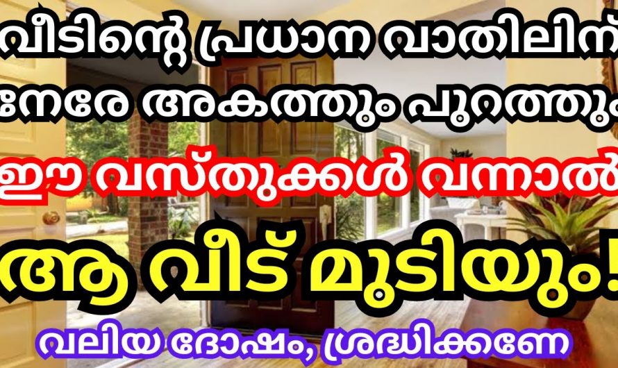 വാസ്തുപ്രകാരം വീട്ടിലെ പ്രധാനപ്പെട്ട വാതിലിൽ ഉണ്ടായിരിക്കേണ്ട കാര്യങ്ങൾ…