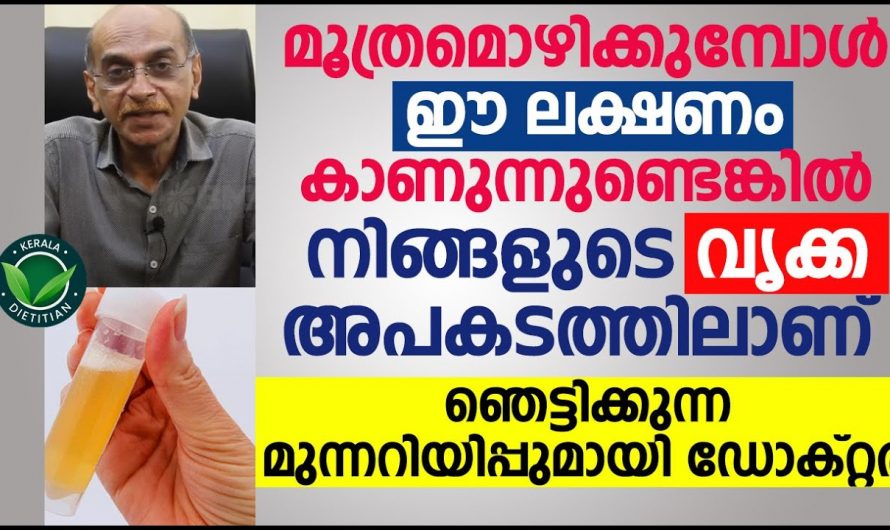 മൂത്രത്തിൽ രക്തത്തിന്റെ അംശം കാണുമ്പോൾ ശ്രദ്ധിക്കേണ്ട കാര്യങ്ങൾ.