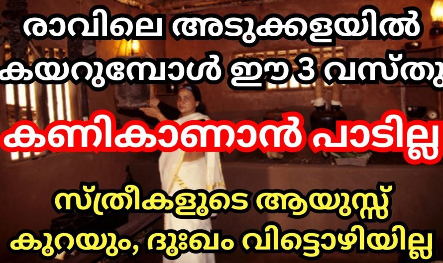 സ്ത്രീകൾ അടുക്കളയിൽ ഇത്തരം തെറ്റുകൾ ഒരിക്കലും വരുത്തരുത് ഇത് വീട് നശിക്കുന്നതിന് കാരണമാകും..