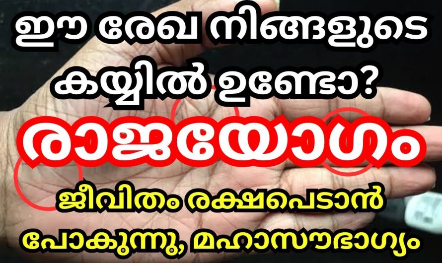 നിങ്ങളുടെ കൈകൾ പറയും നിങ്ങളുടെ ജീവിതം…