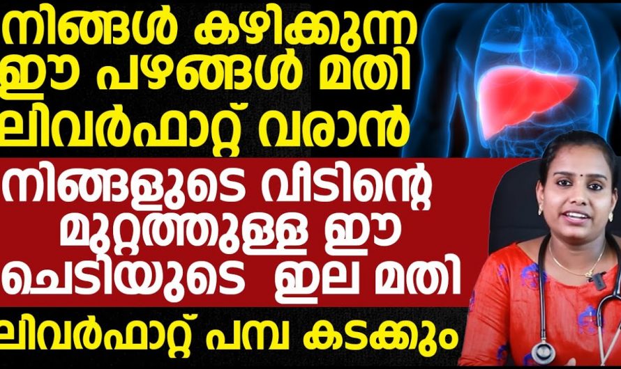 .ഈ ഇല ഉപയോഗിച്ചുകൊണ്ട് നമുക്ക് ലിവർ ഫാറ്റ്  ഇല്ലാതാക്കാം