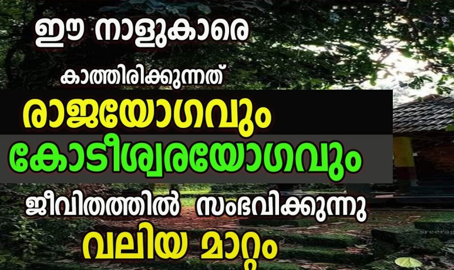 ഈ നക്ഷത്രക്കാരുടെ ജീവിതത്തിൽ ഇനി രാജയോഗം വന്നു ചേരുന്നു…