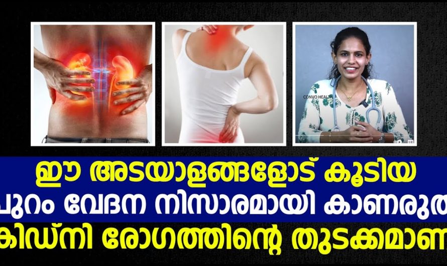 നടുവേദന അല്ലെങ്കിൽ പുറം വേദന ഉണ്ടാകുന്നതിന്റെ കാരണങ്ങളും ലക്ഷണങ്ങളും..