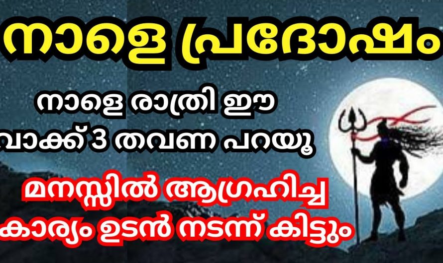 പ്രദോഷ  സന്ധ്യ എത്ര വിശേഷപ്പെട്ടതാണെന്ന് മനസ്സിലാക്കാം