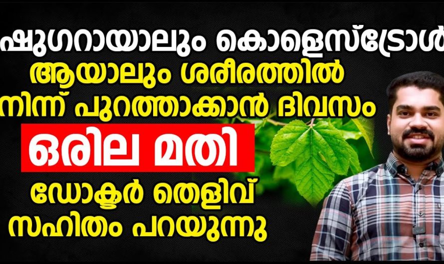 ഈ ഇല പ്രോട്ടീൻ വളരെയധികം  നൽകും കൊളസ്ട്രോളും ഷുഗറും കുറയ്ക്കും..