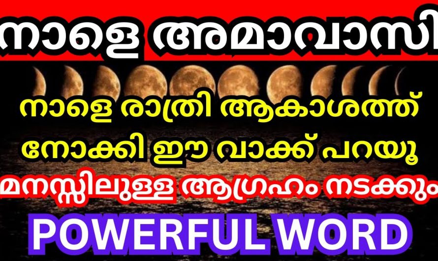 സെപ്റ്റംബർ 14 തീയതി അമവാസി ദിവസം ഇങ്ങനെ  പ്രാർത്ഥിച്ചാൽ..